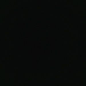 Meet your Posher, Lacey